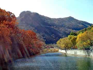 澳门二四六天天彩图库，bose音响价格